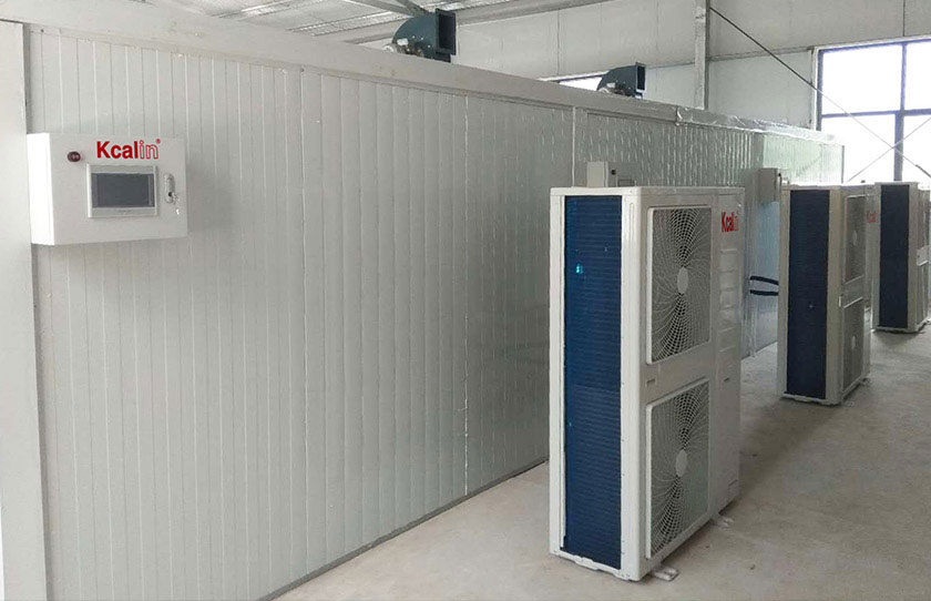 河南汝陽菊花烘干項目